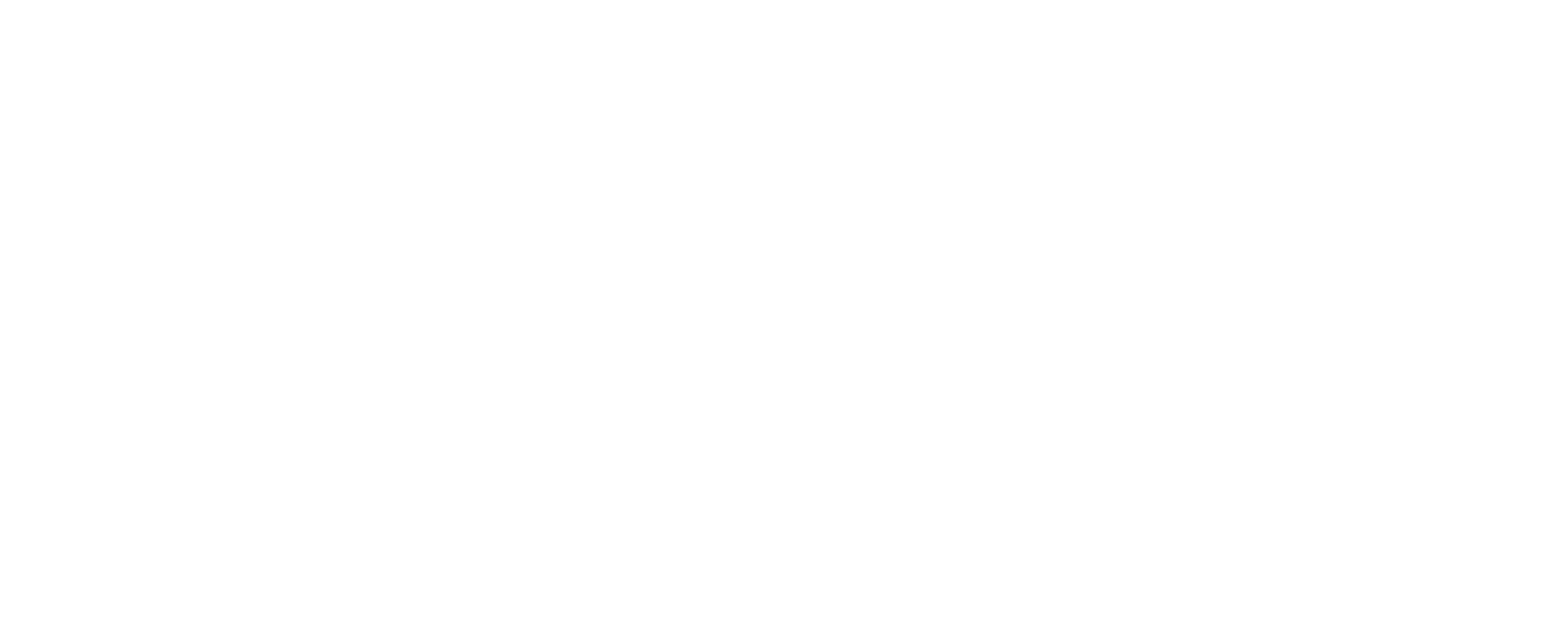 Pioneers Partners
